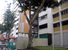 Blk 249 Hougang Avenue 3 (Hougang), HDB 5 Rooms #240882
